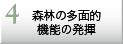 4.Xт̑ʓI@\̔