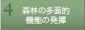 4.Xт̑ʓI@\̔
