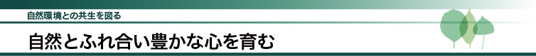 RƂ̋}@RƂӂꍇLȐS