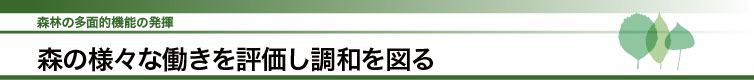 Xт̑ʓI@\̔@X̗lXȓ]a}