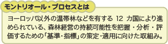 gI[EvZX̉