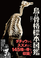「鳥の骨格標本図鑑」表紙の写真