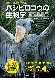 「ハシビロコウの生物学～謎の鳥の進化・生態・飼育・繁殖・保全を徹底解説～」表紙の写真