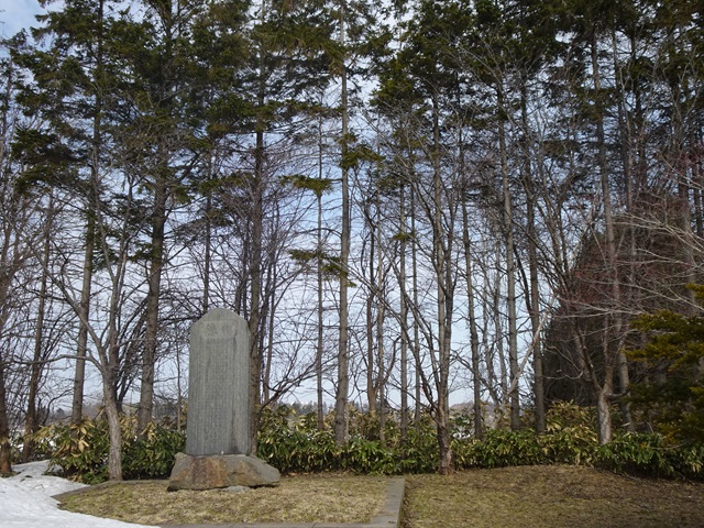 2024年4月4日撮影オオヤマザクラの樹形の写真