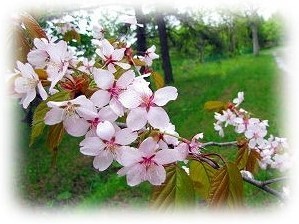 九州支所の陽光