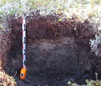 photo02:frozen soil mound pictures