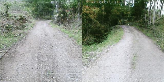 Photographs of a small roads running in forest.