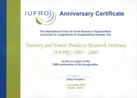 Aniversary Certificate