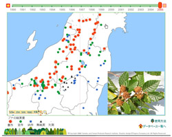 Figure: Database of annual fluctuation of acorn production