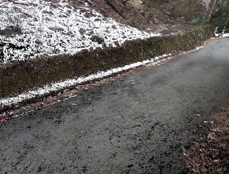 Forest road measured with a 3D laser scanner