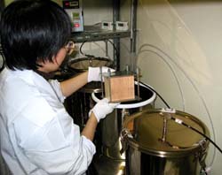 Figure: Small chamber method for measuring VOCs emissions
