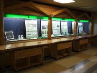 林野庁中央展示