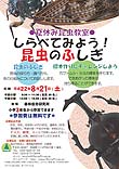 夏休み昆虫教室ポスター画像
