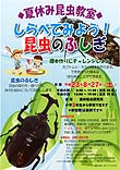 昆虫教室ポスター