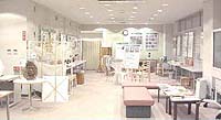写真1：森の展示ルーム