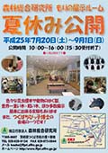 森の展示ルーム夏休み公開ポスター画像