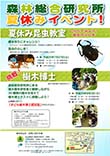 写真：夏休みイベント 子ども樹木博士ポスター