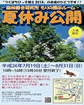 もりの展示ルーム夏休み公開ポスター画像