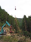 多摩森林講座2016年1月：山の協同組織「森林組合」って何？
