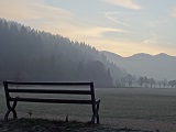 森林講座2018年2月16日開催の写真
