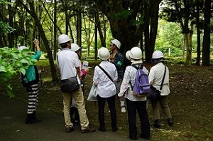 樹木園見学の様子
