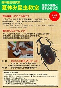 夏休みイベント昆虫教室ちらし