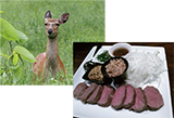 森林講座2019年7月19日開催の写真