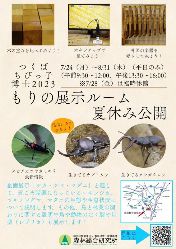 つくばちびっ子2023「もりの展示ルーム」チラシ