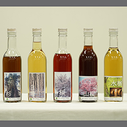 蒸留前の醸造酒の木の酒を入れた瓶が並んでいる様子（左からスギ瓶、白樺瓶、桜瓶、山桜瓶、水楢瓶）