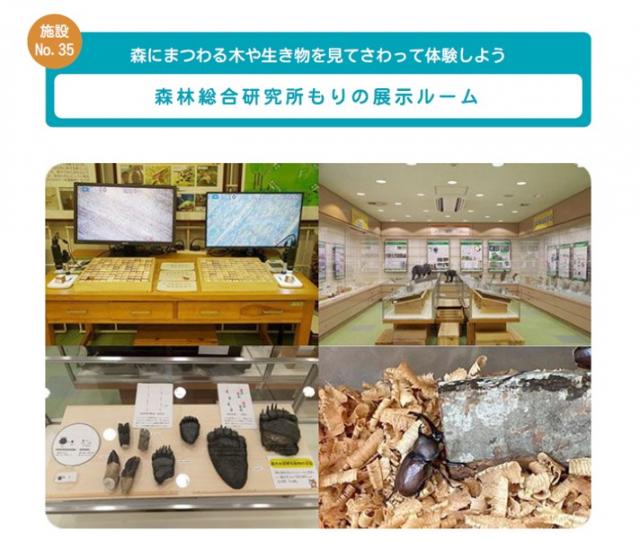 ちびっこ博士施設No.35チラシ