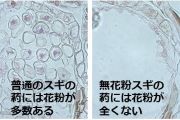 森林講座2024年10月25日開催の写真