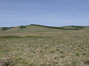 森林講座2026年1月22日開催の写真