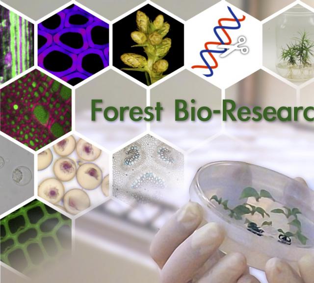 Bio-Top-L