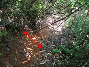 Photo2 Cracks due to earthquakes (arrow)