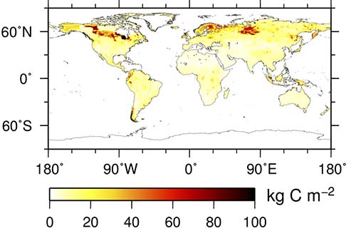 Figure 1. Example of global soil carbon distribution based on ob