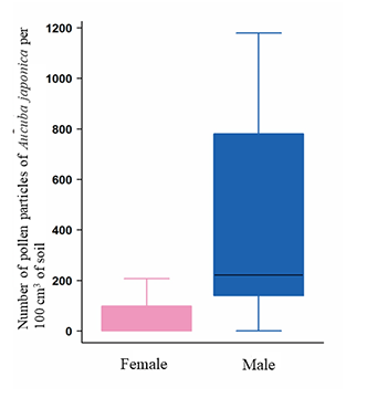 Figure: Numbers of pollen particles of Aucuba japonica in the so