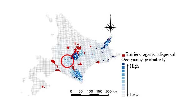 Predicted distribution of Blakiston’s fish owls in the next 50 