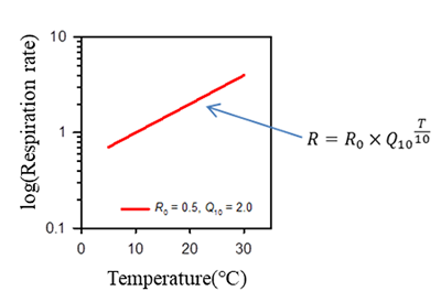 The temperature (T)