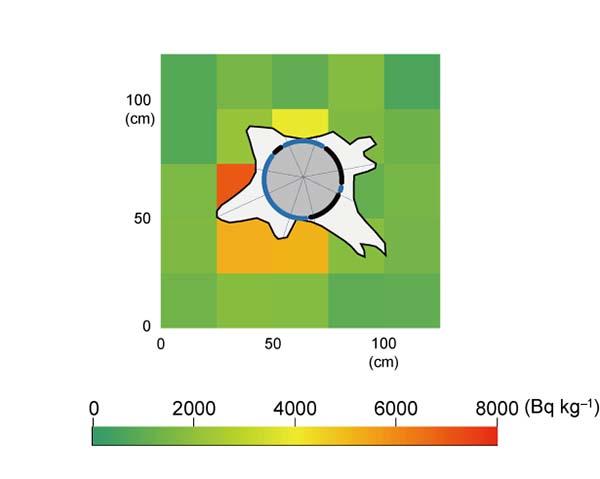 Figure 1: Distribution of radiocesium in the soil and input loca