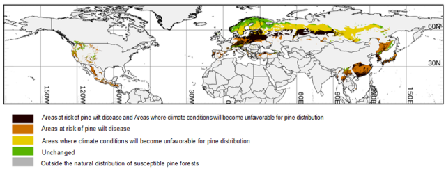 photo:Areas at risk of pine wilt disease 
