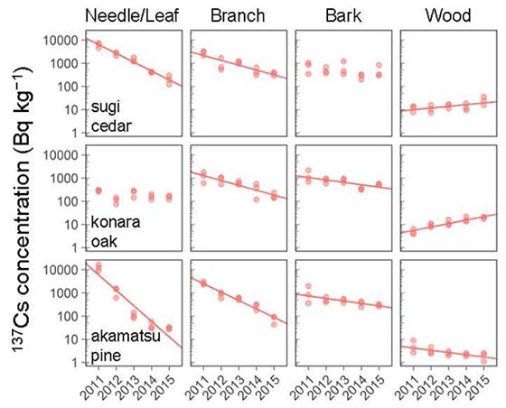 Figure 2. Chronological changes in radiocesium concentrations in