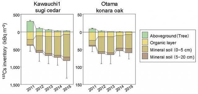Figure 3. Chronological changes of the distribution of radiocesi
