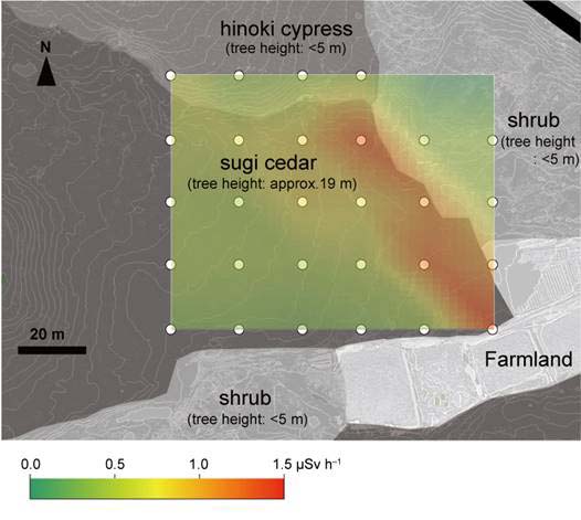 Figure: air dose rate distribution in the investigation site