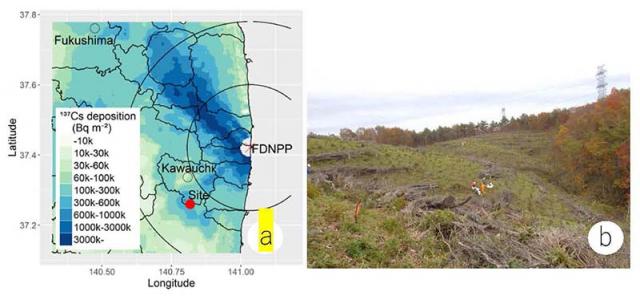 Figure 1. (a) The study site is located in the south part