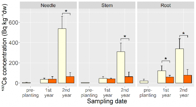 Figure 3. 137Cs concentration in each part of Japanese cypress