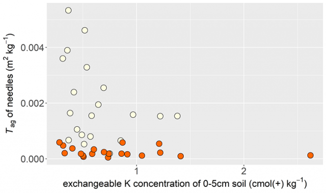 Figure 4. Relationship between exchangeable potassium