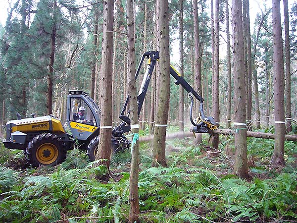 Photo. A wheel (tire)-type harvester used in the CTL system