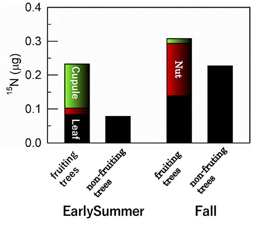 Figure 2: The allocation of nitrogen absorbed from the soi 