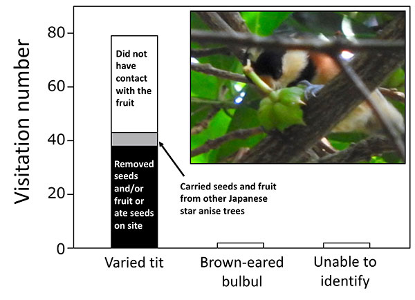 Figure. Number of times a vertebrate was observed 