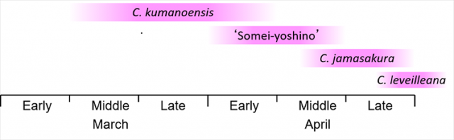 Figure 5. Flowering periods 
